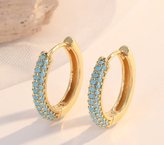 Premium Charming Turquoise Earrings