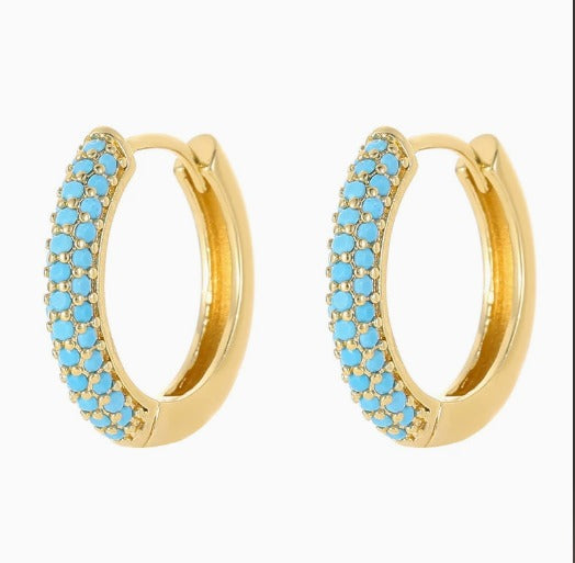 Premium Charming Turquoise Earrings